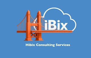 HiBix Consulting